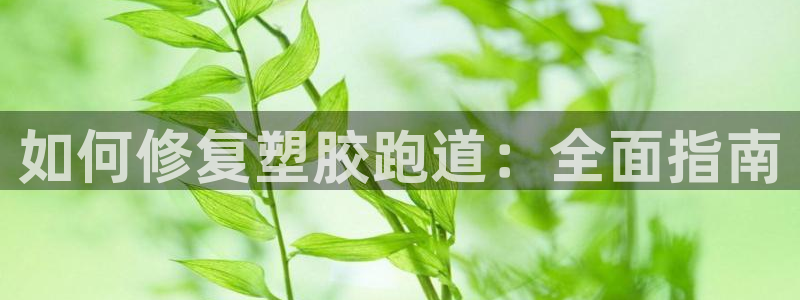 红足一一世