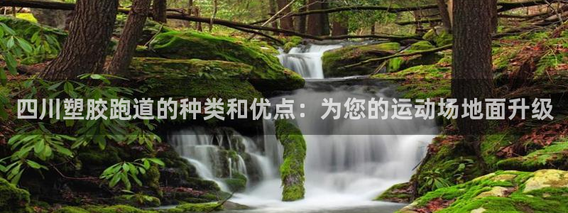 红足一1世手机开奖