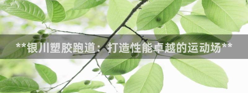 红足一1世手机皇冠