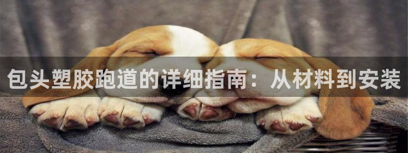 红足1世足球网址