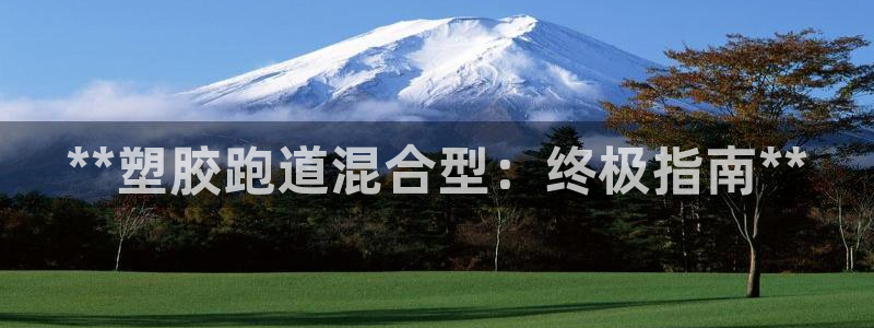 红足一1世开奖记录