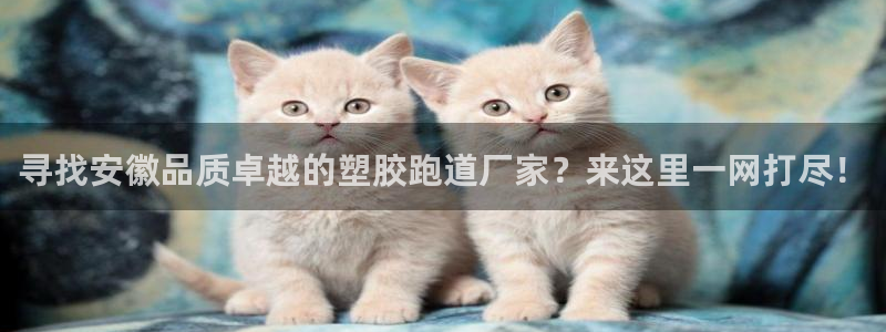 红足1世足球比分 localhost