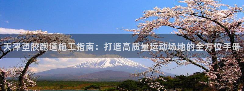 红足1世手机板
