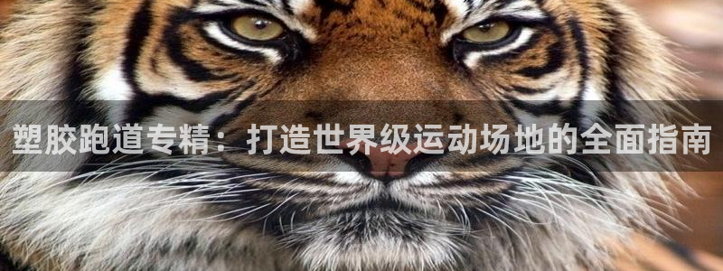 红足1世足球比分预测