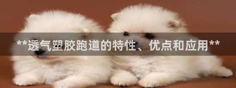 红足一1世手机皇冠