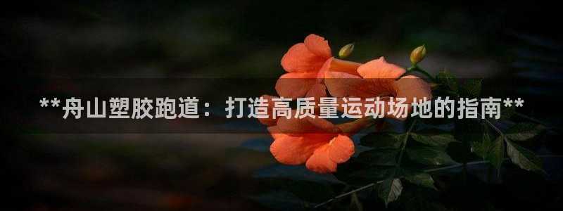 红足一一世足球网开奖记录