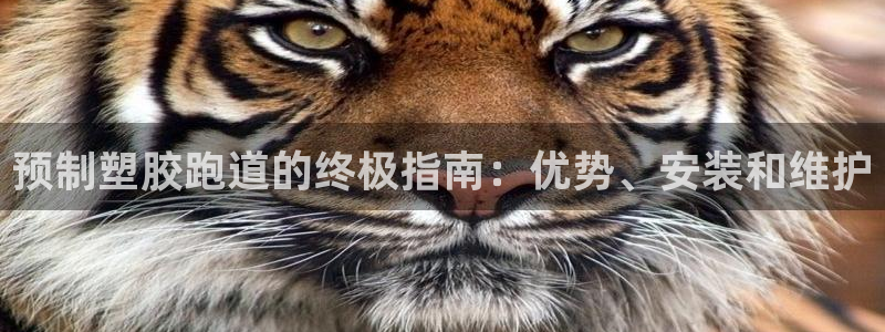 红足 世足球手机网