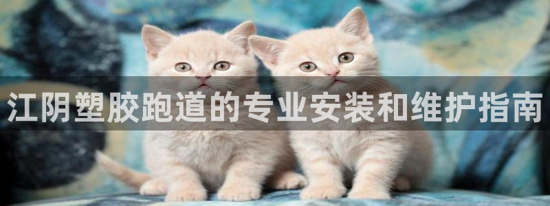 红足一1世比分球探
