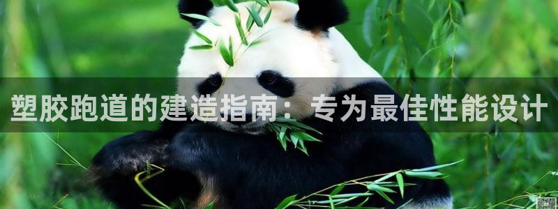 红足一1世皇冠登录