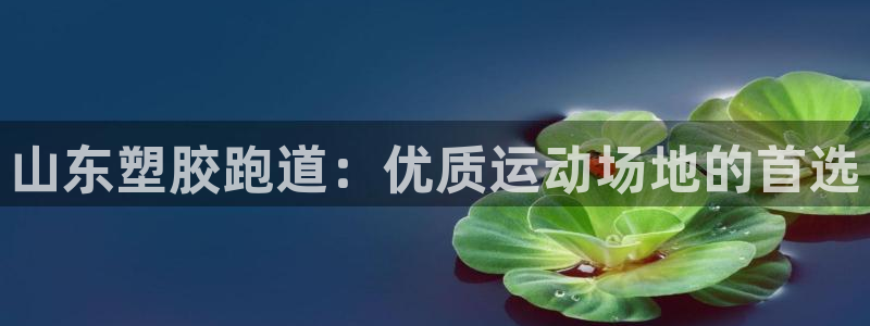 红足1一世足球手机