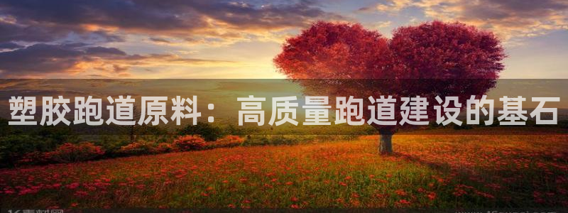 红足1世手足球比分