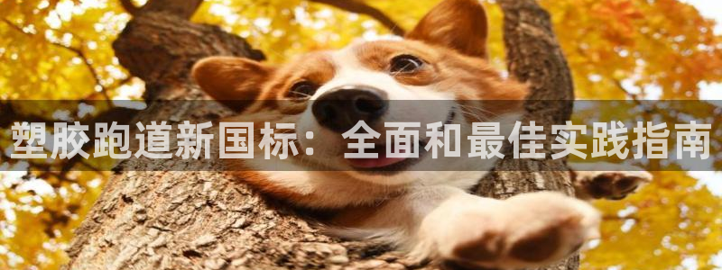 红足一1世官网足球推荐真人