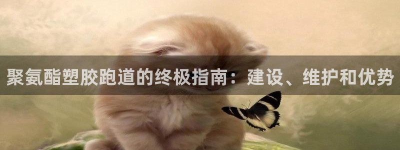 红足网足球直播