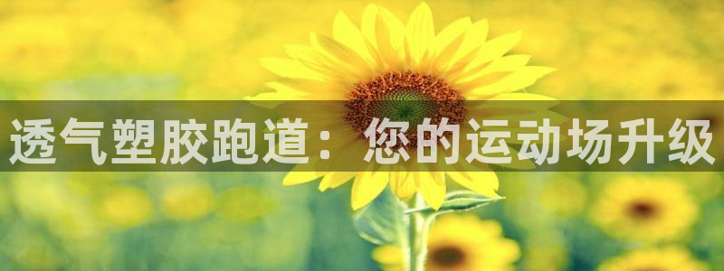 红足1一世红
