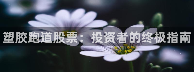 红足一1世手机版新皇冠