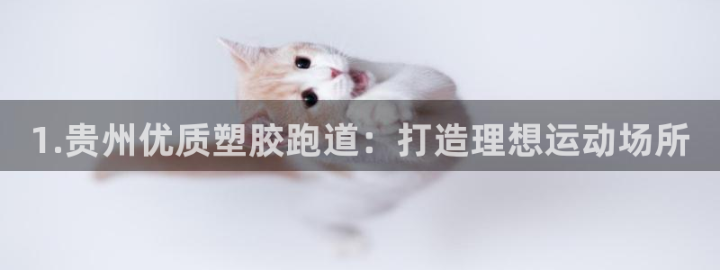 红足一1世比分网