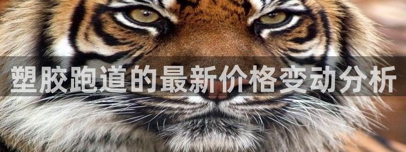 红足1世手机版下载：塑胶跑道的最新价格变动分析