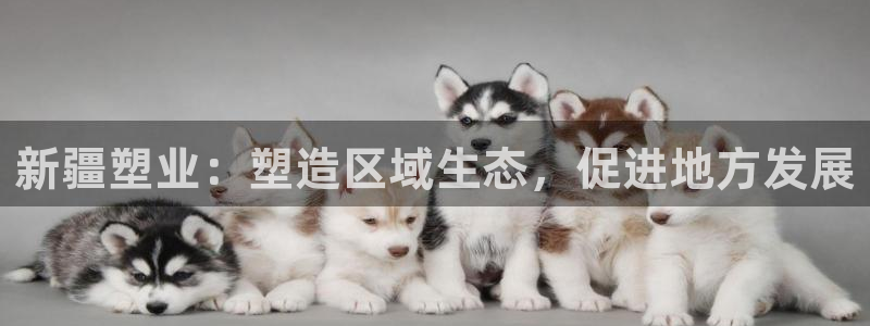 红足一1世手机版新皇冠：新疆塑业：塑造区域生态，促进地方发展
