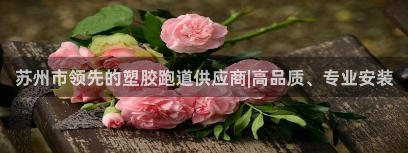 红足一球：苏州市领先的塑胶跑道供应商|高品质、专业安装
