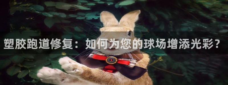 77814红足1世：塑胶跑道修复：如何为您的球场增添光彩？