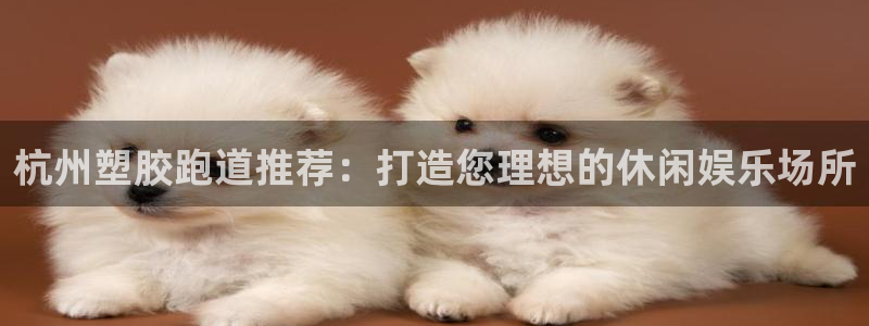 红足一1世皇冠地址：杭州塑胶跑道推荐：打造您理想的休闲娱乐场所