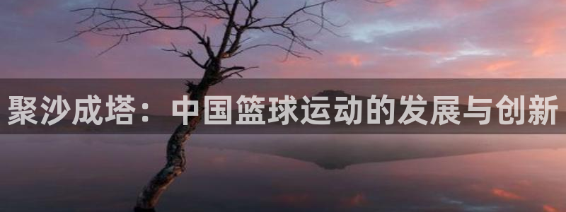 66814红足一66814世：聚沙成塔：中国篮球运动的发展与创新