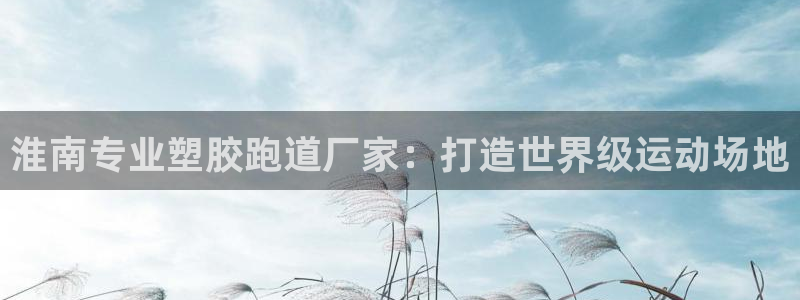 红足1世足球网址：淮南专业塑胶跑道厂家：打造世界级运动场地