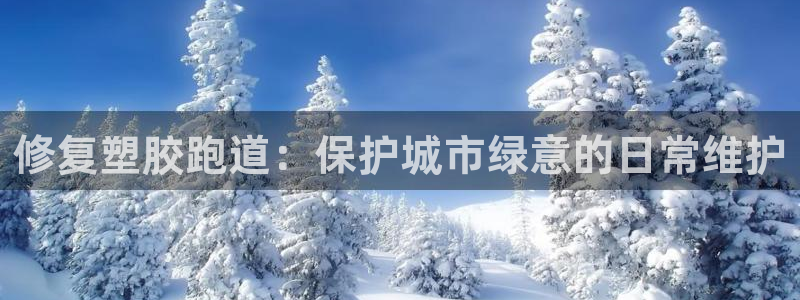 77814红足1世：修复塑胶跑道：保护城市绿意的日常维护
