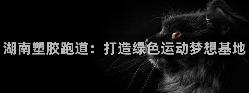 红足 世足球手机网：湖南塑胶跑道：打造绿色运动梦想基地