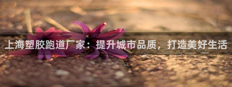 红足1世1站：上海塑胶跑道厂家：提升城市品质，打造美好生活