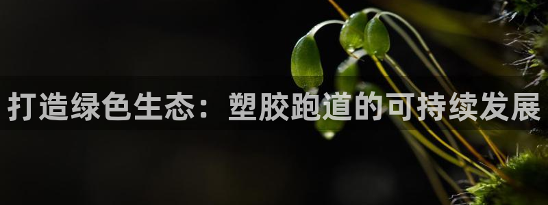 红足一1世666814最新结果:打造绿色生态:塑胶跑道的可持续发展