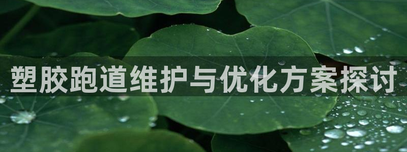 百度红足一1是什么样子的：塑胶跑道维护与优化方案探讨