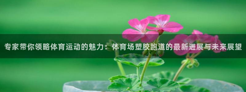777814红·足一世比分篮球：专家带你领略体育运动的魅力：体育场塑胶跑道的最新进展与未来展望