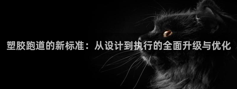 红足一1世66814新宝：塑胶跑道的新标准：从设计到执行的全面升级与优化