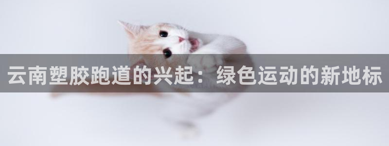 777814红·足一世比分篮球：云南塑胶跑道的兴起：绿色运动的新地标