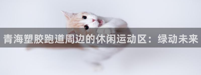 55814红足1世：青海塑胶跑道周边的休闲运动区：绿动未来