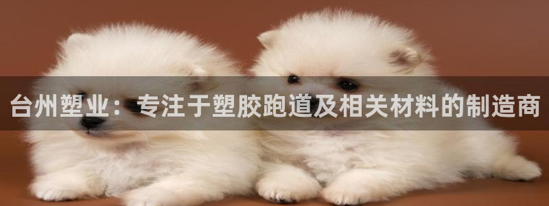 红足i世足球手机网：台州塑业：专注于塑胶跑道及相关材料的制造商