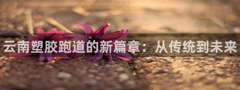 红足一生世：云南塑胶跑道的新篇章：从传统到未来
