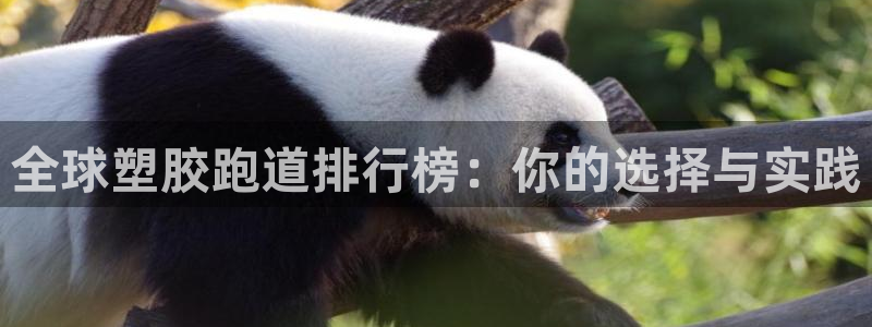 红足一一世：全球塑胶跑道排行榜：你的选择与实践