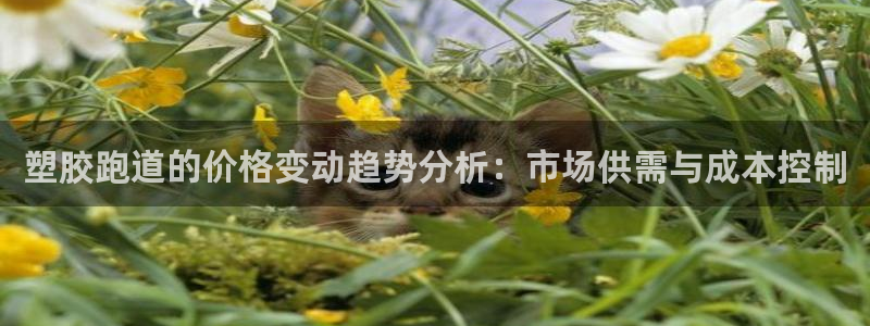 红足1一世红：塑胶跑道的价格变动趋势分析：市场供需与成本控制