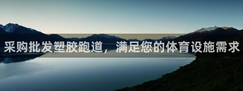 红足1世足球：采购批发塑胶跑道，满足您的体育设施需求