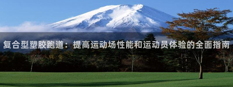 红足一一世：复合型塑胶跑道：提高运动场性能和运动员体验的全面指南