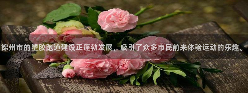 红足一1世比分网：锦州市的塑胶跑道建设正蓬勃发展，吸引了众多市民前来体验运动的乐趣。