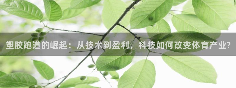 红足一1世77814：塑胶跑道的崛起：从技术到盈利，科技如何改变体育产业?