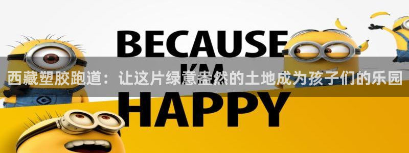 百度红足一1是什么样子的：西藏塑胶跑道：让这片绿意盎然的土地成为孩子们的乐园
