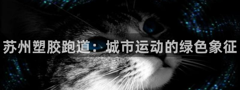 红足一生世：苏州塑胶跑道：城市运动的绿色象征