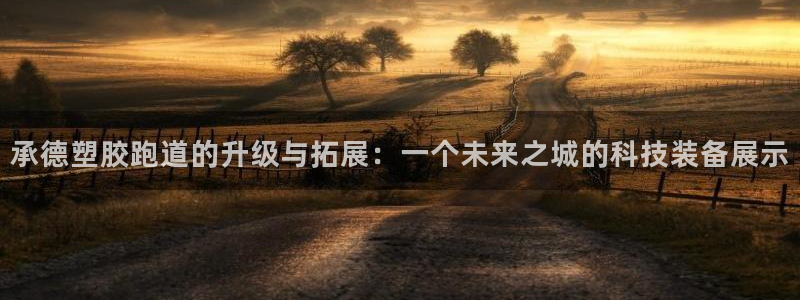 红足1世手机版下载：承德塑胶跑道的升级与拓展：一个未来之城的科技装备展示