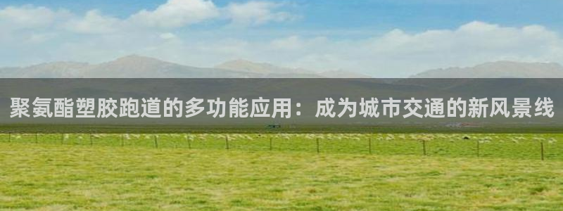 红足一1世平台：聚氨酯塑胶跑道的多功能应用：成为城市交通的新风景线