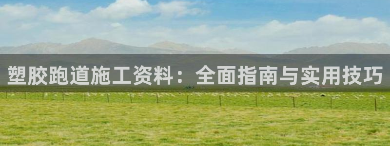 红足一1世即时比分：塑胶跑道施工资料：全面指南与实用技巧