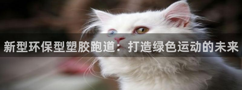 666814红·足一世比分：新型环保型塑胶跑道：打造绿色运动的未来